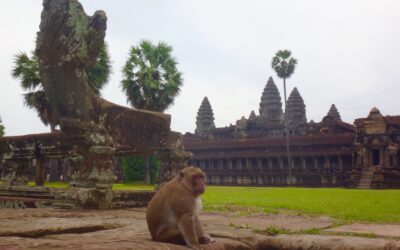 Angkor Wat